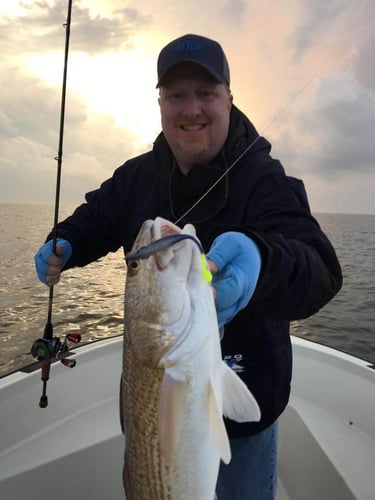 Baffin Bay Angling Excursion In Riviera Beach