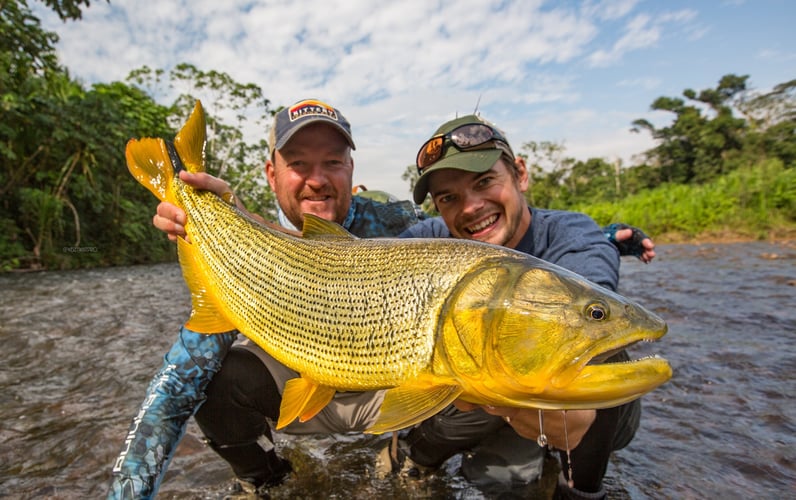 Bolivian Amazon Golden Dorado In Santa Cruz De La Sierra