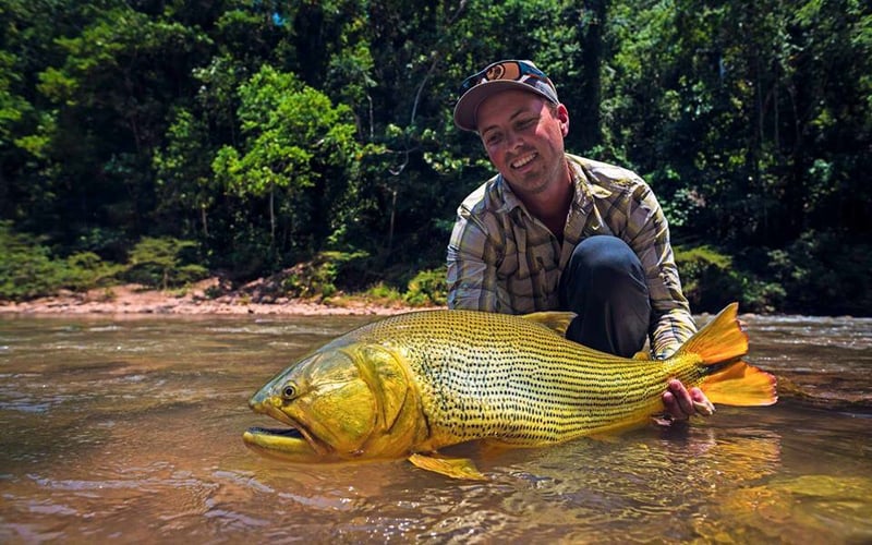 Bolivian Amazon Golden Dorado In Santa Cruz De La Sierra