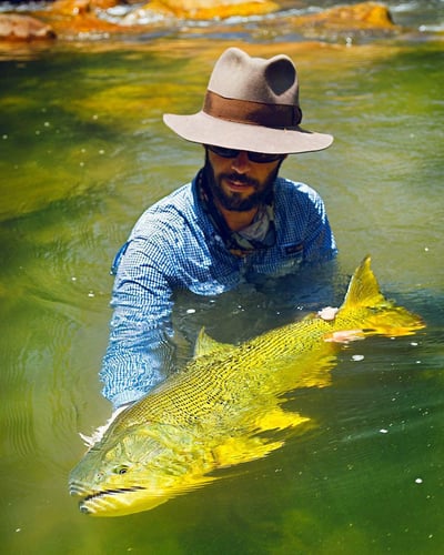 Bolivian Amazon Golden Dorado In Santa Cruz De La Sierra