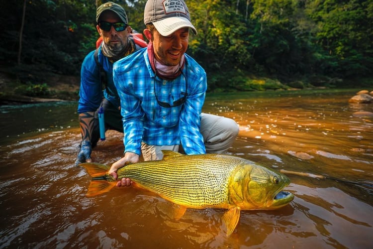 Bolivian Amazon Golden Dorado In Santa Cruz De La Sierra