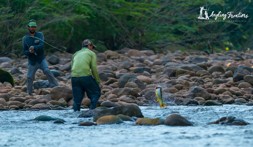 Premier Bolivian Flyfishing in Santa Cruz