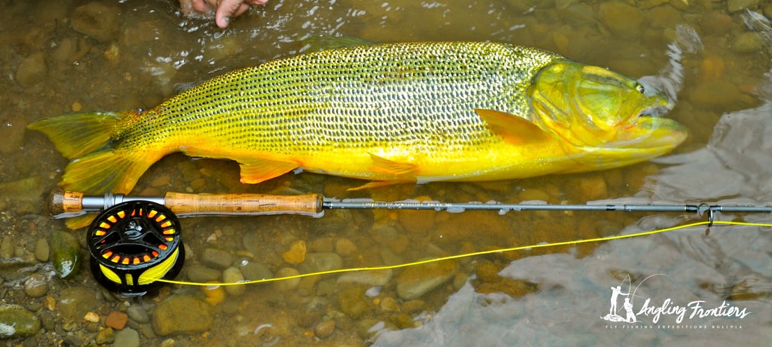 Premier Bolivian Flyfishing in Santa Cruz