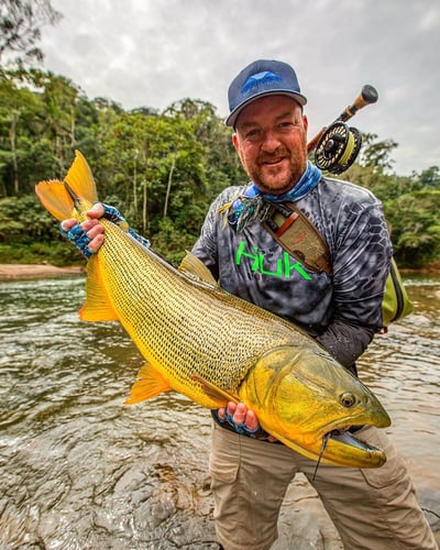 Bolivian Amazon Golden Dorado In Santa Cruz De La Sierra