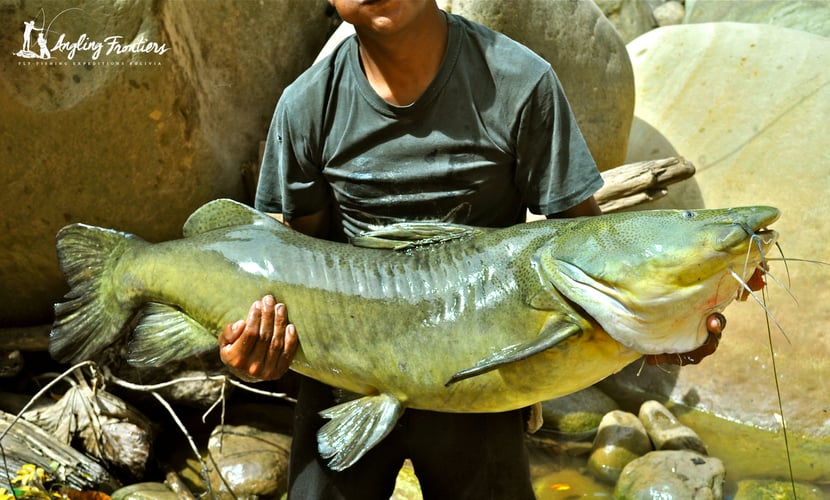 Premier Bolivian Flyfishing in Santa Cruz