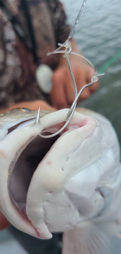 Keeping Up With The Jones Bay Fishing In Rockport