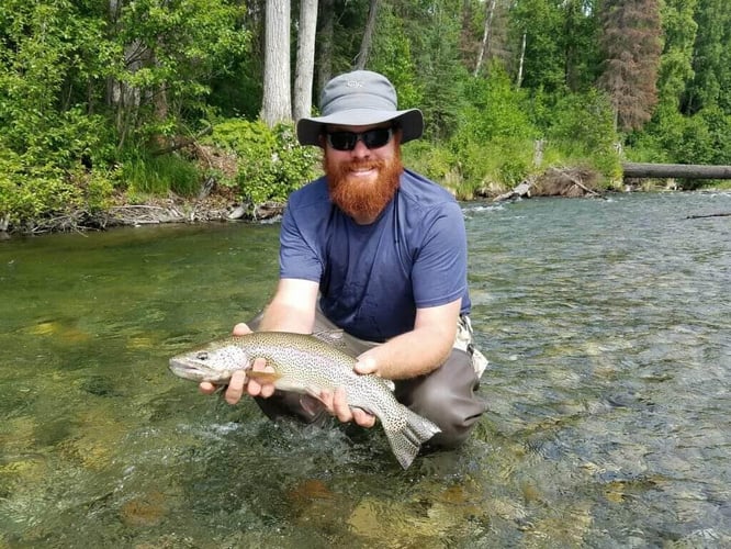 Pike In The Alaska Wilderness In Talkeetna