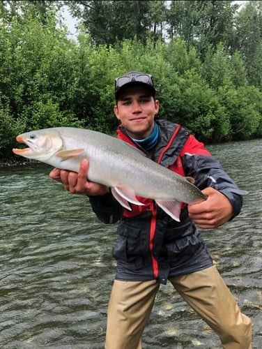 Alaskan Wilderness Flyout In Talkeetna