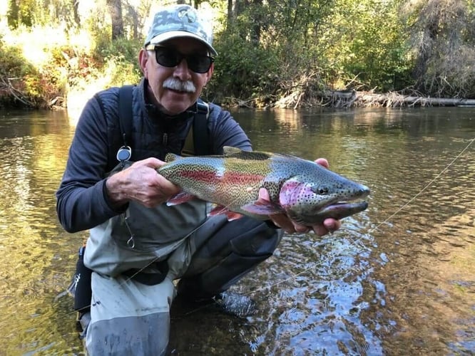 Alaskan Wilderness Flyout In Talkeetna