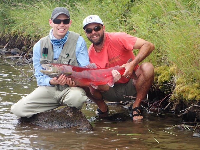 Pike In The Alaska Wilderness In Talkeetna