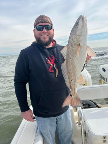 Bay And Jetty Fishing In Galveston