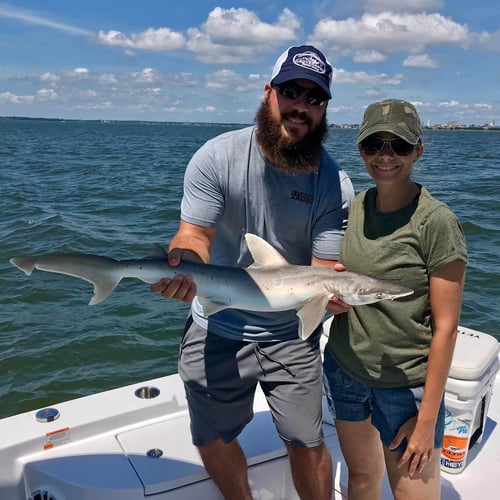 3 or 2 Hour Trip – Shark Fishing