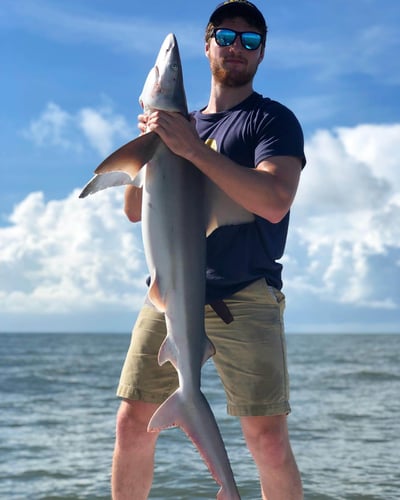 3 Or 2 Hour Trip – Shark Fishing In Mount Pleasant