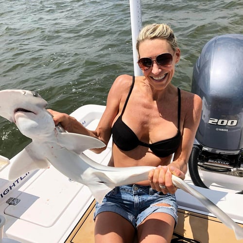 3 Or 2 Hour Trip – Shark Fishing In Mount Pleasant