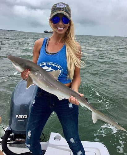 3 Or 2 Hour Trip – Shark Fishing In Mount Pleasant