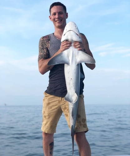 3 Or 2 Hour Trip – Shark Fishing In Mount Pleasant