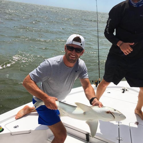 3 Or 2 Hour Trip – Shark Fishing In Mount Pleasant