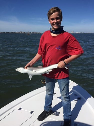3 or 2 Hour Trip – Shark Fishing