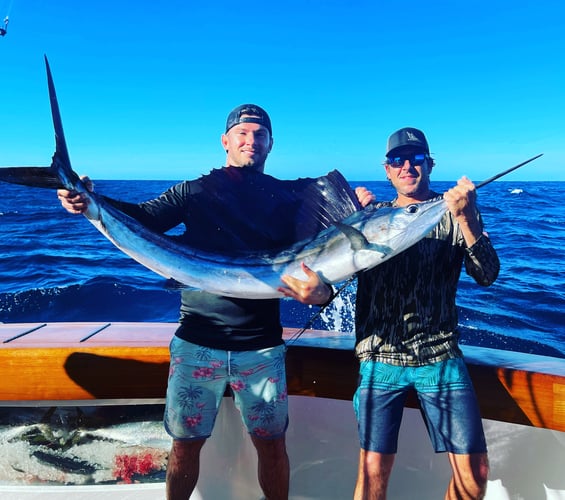 Dry Tortugas Smash In Key West