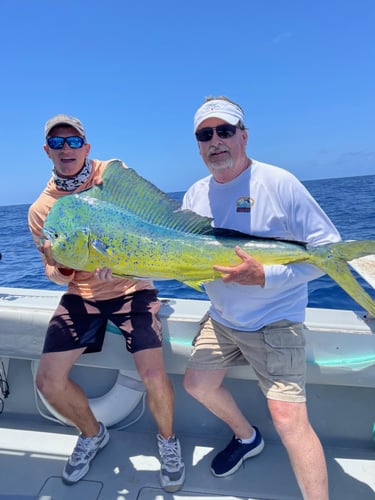 Dry Tortugas Smash In Key West