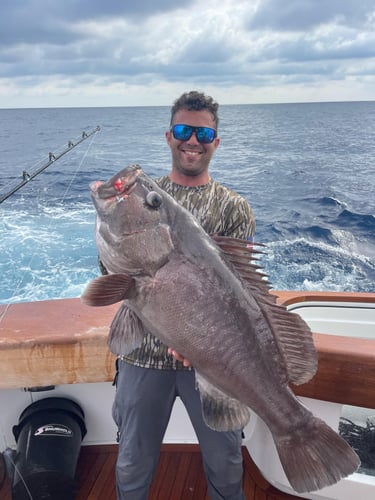 Dry Tortugas Smash In Key West