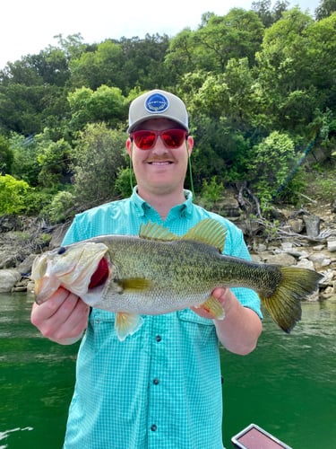 Central Texas Bass Fishing In Spicewood