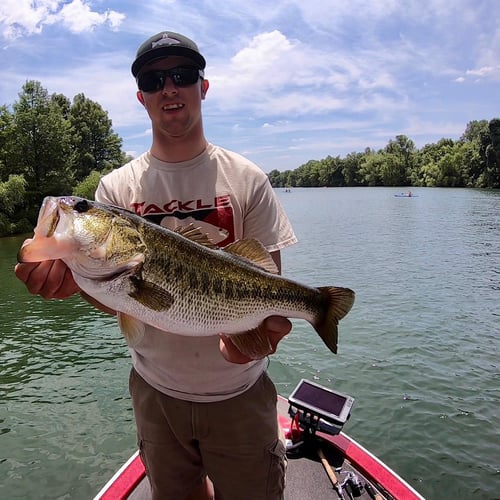 Central Texas Bass Fishing In Spicewood