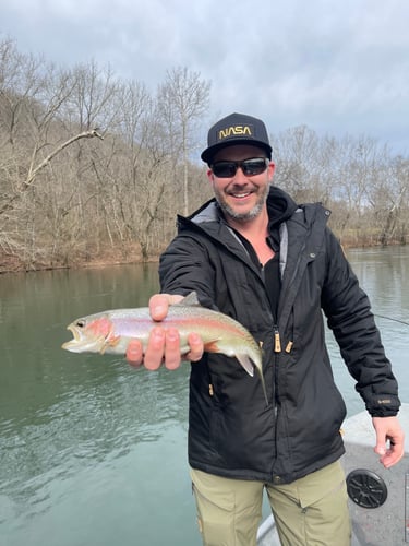 Trout Adventure On The Clinch In Andersonville