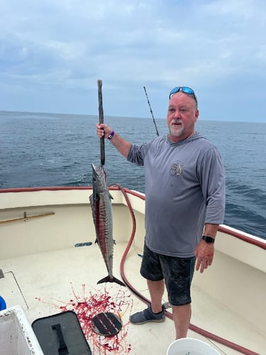 Panama City Trolling Thrills In Panama City Beach