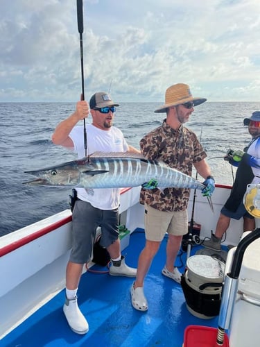 Panama City Trolling Thrills In Panama City Beach