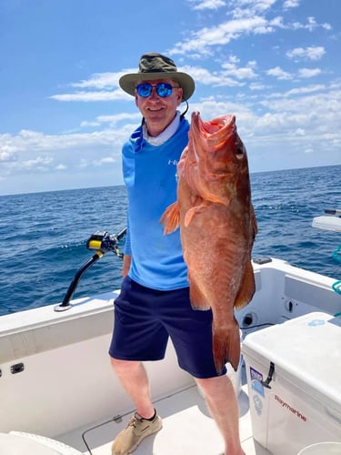 Orange Beach Offshore Reef In Orange Beach