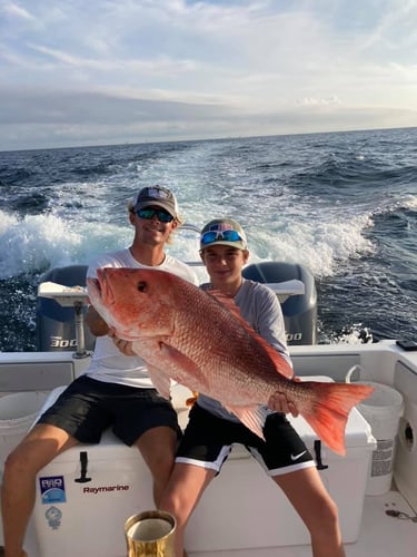 Orange Beach Offshore Reef In Orange Beach