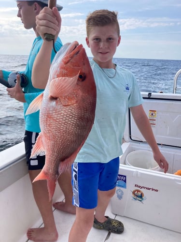 Orange Beach Offshore Reef In Orange Beach