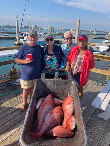 Orange Beach Offshore Reef In Orange Beach