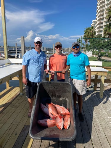 Orange Beach Offshore Reef In Orange Beach