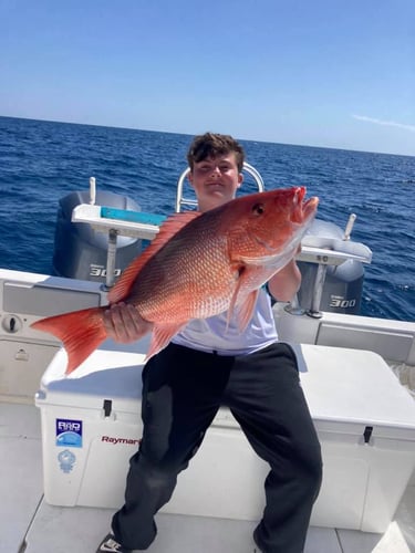 Orange Beach Offshore Reef In Orange Beach