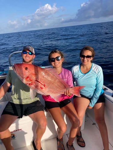 Orange Beach Offshore Reef In Orange Beach