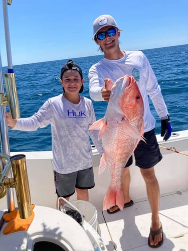 Orange Beach Offshore Reef In Orange Beach