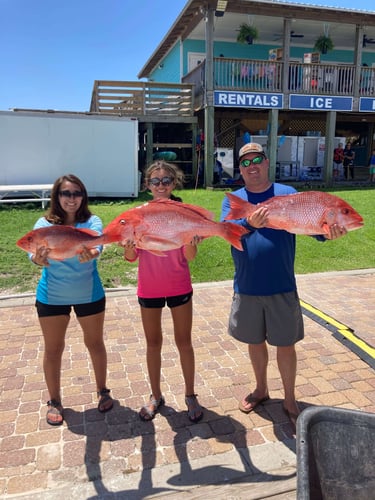 Orange Beach Offshore Reef In Orange Beach