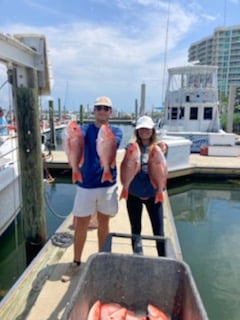 Orange Beach Offshore Reef In Orange Beach