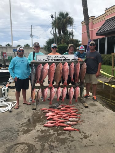 Live Red Snapper Action - 48' Viking In Panama City