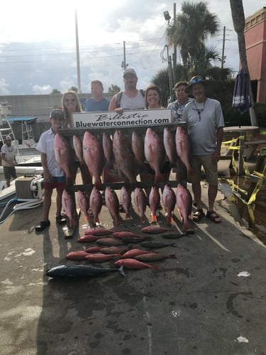Live Red Snapper Action - 48' Viking In Panama City