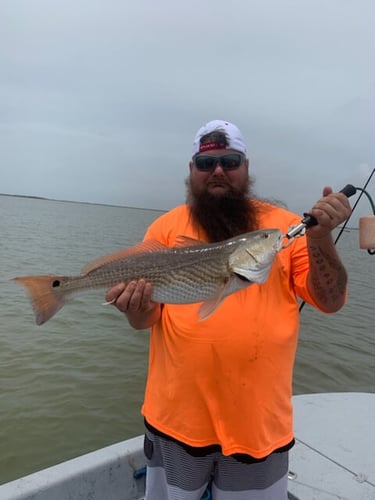 Inshore - 24’ El Pescador Cat In Port O'Connor