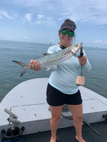 Inshore - 24’ El Pescador Cat In Port O'Connor