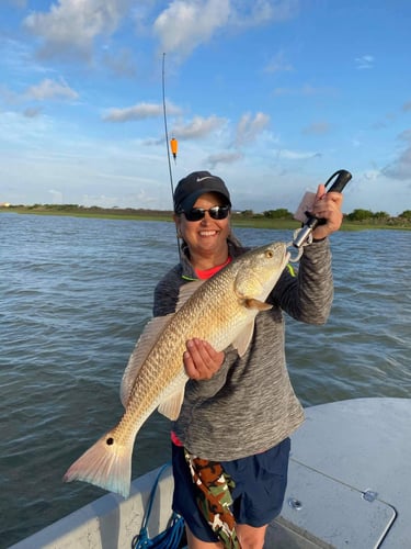 Inshore - 24’ El Pescador Cat In Port O'Connor