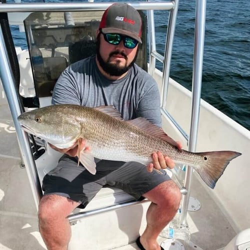 Panama City Inshore Action in Panama City