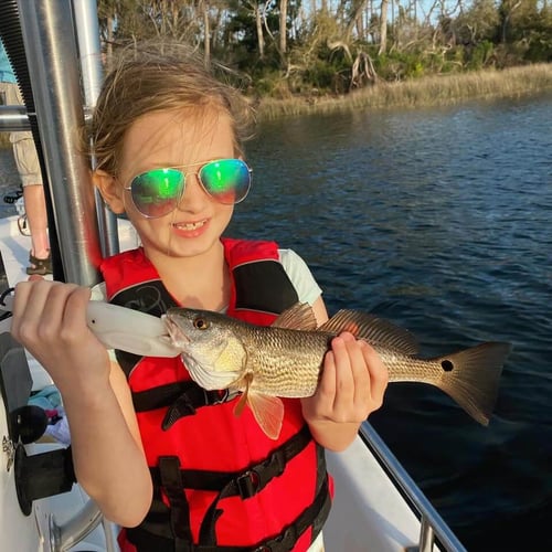 Kids Fishing - 22’ Sea Chaser In Panama City