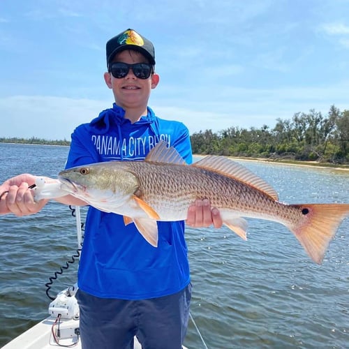 Kids Fishing - 22’ Sea Chaser In Panama City