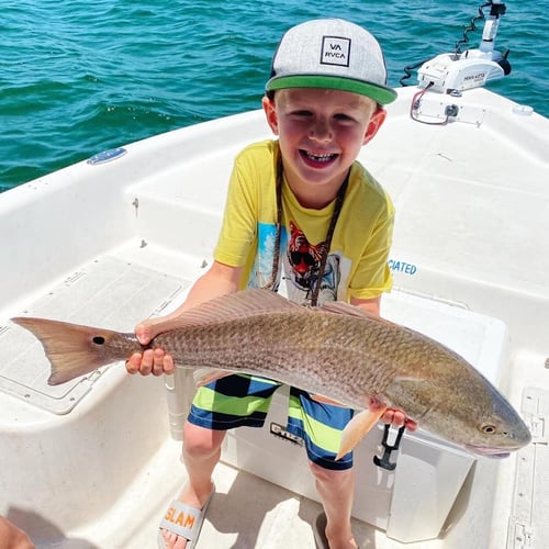 Kids Fishing - 22’ Sea Chaser In Panama City