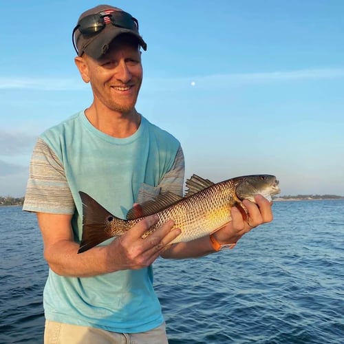 Panama City Inshore Action in Panama City